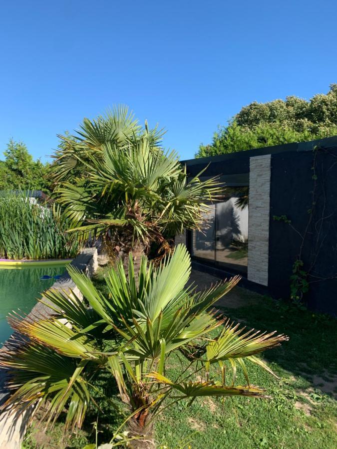 Brown Bed & Breakfast Penmarc'h Bagian luar foto